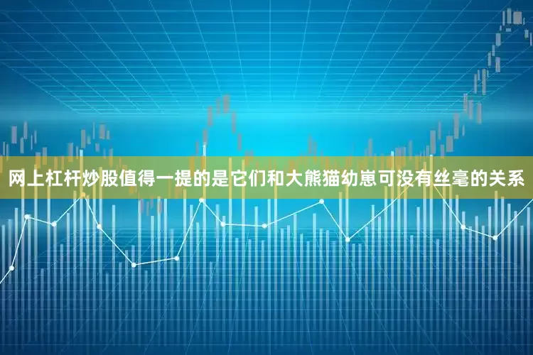 网上杠杆炒股值得一提的是它们和大熊猫幼崽可没有丝毫的关系